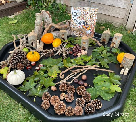 Autumn Small World, Autumn Animals Preschool, Book Area Eyfs, Reggio Emilia Art Projects, Eyfs Autumn, Outdoor Maths, Books Autumn, Eyfs Outdoor Area, Autumn Books