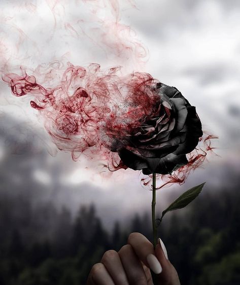 DARK BLACK MOON🥀🌙 on Instagram: “Amazing 🖤🖤🖤 🥀🥀🥀♥️ . Via : @gothicgenre . . . Tag your friend . .  #witchcraft #witchesofinstagram #witch #witchythings #witch🔮 #witchery…” Goth Style, Flower Phone Wallpaper, Hand Holding, Rose Wallpaper, Dark Photography, Dark Wallpaper, A Rose, Flower Wallpaper, Black Rose