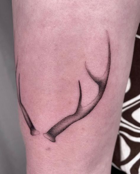 More deer antlers! Thank you Nakita! DM me for custom horns / animal ears, really been enjoying doing these. Done at Seven Saints… | Instagram Deer Horn Tattoo, Saints Tattoo, Horns Tattoo, Horn Tattoo, Antler Tattoo, Saint Tattoo, Tattoo 2022, Melbourne Tattoo, Deer Horn