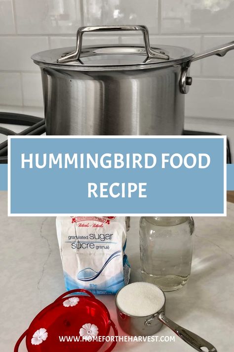 Wondering how to make hummingbird food for your feeder? This hummingbird food recipe is quick to make (and your birdies will love it!). The basic hummingbird food recipe is plain sugar water prepared in a ratio of 1 part sugar to 4 parts water, and then boiled on the stove to destroy harmful pathoge… How To Make Hummingbird Food, Hummingbird Food Recipe, Sugar Water For Hummingbirds, Make Hummingbird Food, Homemade Hummingbird Food, Hummingbird Food, Hummingbird Nectar, Attract Hummingbirds, Small Insects