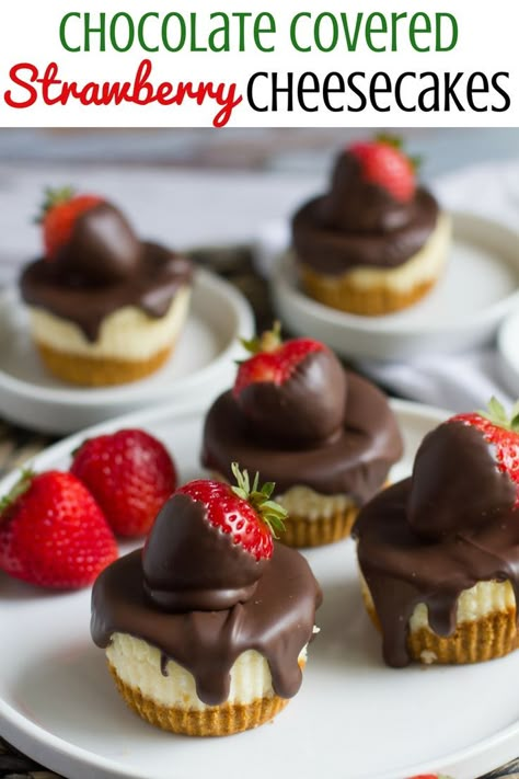 Light and fluffy, these delectable cheesecakes are topped with chocolate covered strawberries. Chocolate Covered Strawberry Cheesecake, Brownie Vegan, Banana Split Dessert, Resipi Kek, Mini Cheesecake Recipes, Oreo Dessert, Mini Cheesecakes, Dessert Bar, Covered Strawberries