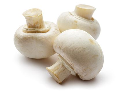 White Button Mushroom Grower & Supplier | South Mill Champs Growing Mushrooms At Home, Mushroom Varieties, White Button Mushrooms, Ripe Plantain, Maitake Mushroom, Crimini Mushrooms, Food Resources, Button Mushroom, Scotch Bonnet Pepper