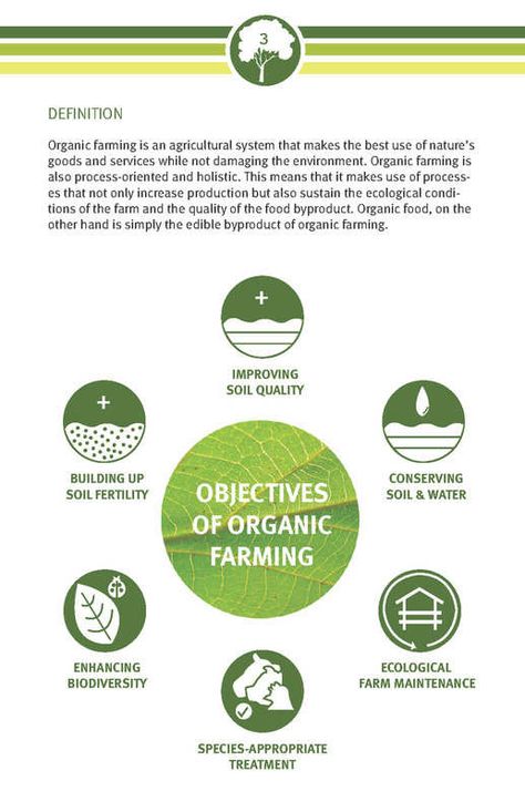 ECORGANIC: A Manual on Organic Food and Farming on Behance Sustainable Agriculture Poster, Organic Farming Poster, Organic Farming Project, Farming Ideas Agriculture, Farming Knowledge, Eco Project, Diversity Poster, Carbon Capture, Farming Technology