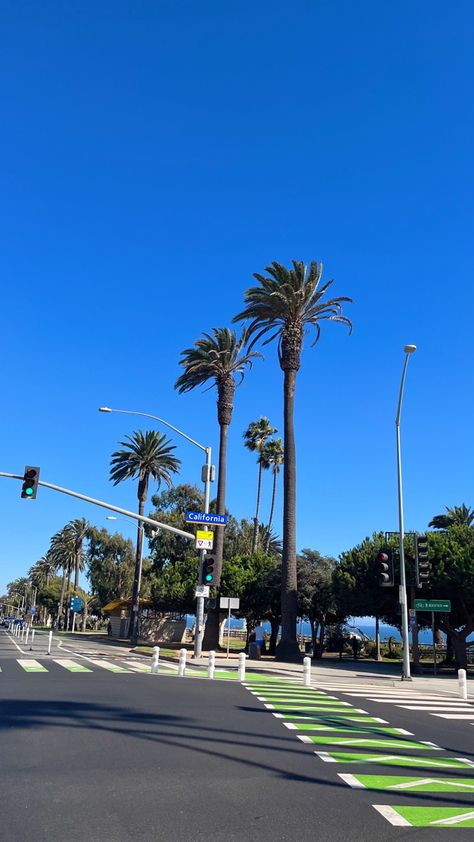 Los Angeles Santa Monica Pier California Palm Trees Summer Travel Los Angeles Wallpaper, Lancaster California, Los Angeles Aesthetic, California Palm Trees, Cali Life, California Vibe, Santa Monica Pier, City Of Angels, California Dreamin'