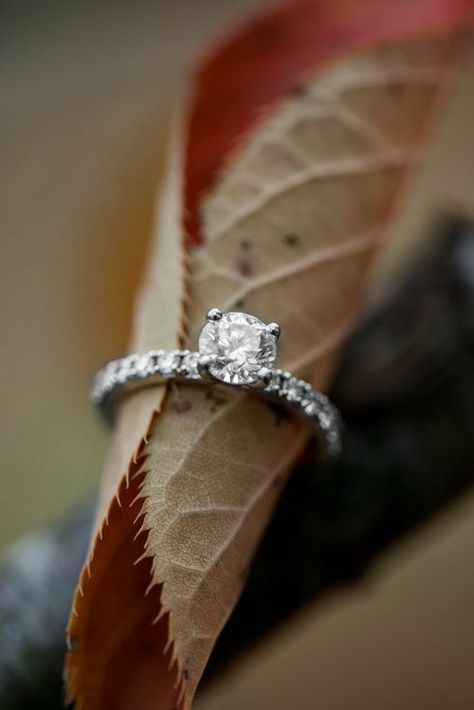 Engagement Ring Photography Creative, Ring Shoot Ideas, Aesthetic Engagement Ring Photos, Rings Product Photography, Autumn Jewelry Photography, Ring Pictures Ideas, Ring Photography Creative, Ring Product Photography, Ring Photoshoot Ideas