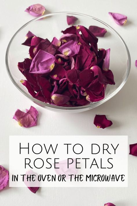 Have you ever wondered how to dry rose petals without having to wait hours ages for them to dry out or cook all day in the oven. Here you go.... How To Save Rose Petals, Drying Flower Petals, How To Dry Out Flowers, Dry Rose Petals, Dehydrating Recipes, Medicinal Herbs Remedies, Hannah Ideas, Simmer Pots, Rose Petal Beads