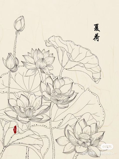 Hatch Drawing, Art Deco Design Graphics, Lilies Drawing, Buddhist Art Drawing, Botanical Floral Art, Flower Drawing Tutorials, Flower Drawing Design, Flower Art Drawing, Mandala Design Pattern