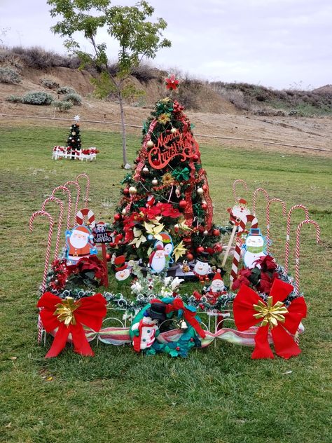 Christmas 2018 my dad's grave Graveside Decorations, Grave Ideas, Cemetary Decorations, Cemetery Photos, Cemetery Ideas, Memorial Tree, Interesting Things To Know, Gravesite Decorations, Memory Quotes