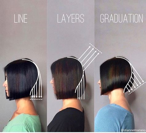 Bob techniques. Blunt bob. Layered bob. Graduated bob @shannelmariano Haircut Diagram, Layered Bob, Penteado Cabelo Curto, Bob Haircut, Grunge Hair, Hair Dos, About Hair, Bobs Haircuts, Bob Hairstyles