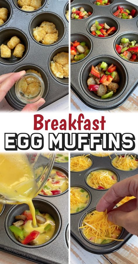 Tater Tot Muffin Cups Eggs, Egg Muffins With Hashbrown Crust, Breakfast Muffins With Tater Tots, Tater Tot Egg Cups, Tator Tot Recipes Breakfast, Tator Tot Muffin Breakfast, Tater Tot Breakfast Cups, Mini Tater Tot Casserole, Tater Tot Egg Muffins