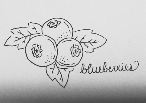 Simple Fruit Drawings, Blueberries Drawing, Doodles Sharpie, Blueberry Drawing, Blueberries Fruit, Fruit Doodle, Fruit Art Drawings, Fruit Aesthetic, Beaded Projects