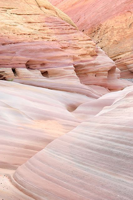 Pink Canyon, Bar Restaurant Design, Architecture Restaurant, Desert Aesthetic, Valley Of Fire State Park, Desert Dunes, Valley Of Fire, Wedding Aesthetic, In The Desert