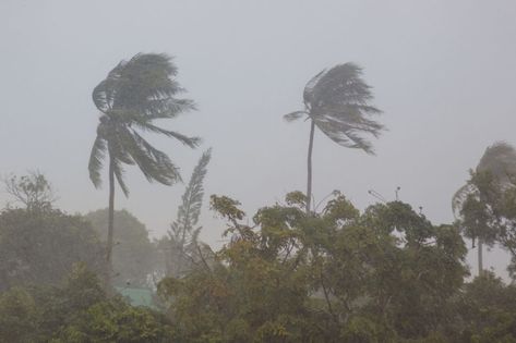 Thailand hit by worst tropical storm in 30 years Hot Desert, Storm Surge, New Brighton, Mediterranean Coast, Tropical Storm, Gulf Of Mexico, Natural Disasters, Around The Worlds, Mexico