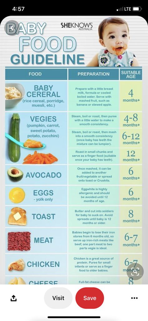 Baby Solid Food Schedule, Baby Food Timeline, 4 Month Baby Food, Nursing Foods, Baby Weaning Foods, Food For Breastfeeding Moms, Baby Food Guide, Baby Food Schedule, Baby Led Weaning First Foods