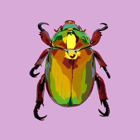 Christmas Beetle illustration by Madeline Nave Christmas Beetle, Insect Drawing, Beetle Illustration, Procreate Illustration, Christmas