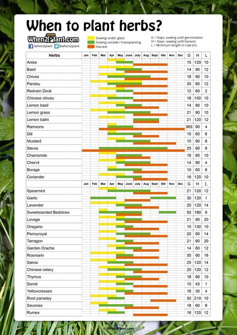 When to plant herbs indoors, outside and when to harvest. Sowing calendar dates for herbs. Anise Basil Chives Parsley Dill Garlic Thymus When To Plant Herbs, Planting Herbs Indoors, Plant Herbs, Herbs List, Planting Calendar, When To Plant, Herb Garden Design, Growing Gardens, Veg Garden