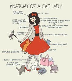 crazy cat lady Anatomy Of A Cat, Cat Vs Human, She And Her Cat, Cat Human, Lady Cat, Cat Items, Cat People, Cat Facts, Cat Quotes