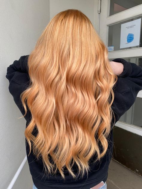 Light copper peach orange hair 👩🏼‍🦰 Autumn long hair inspiration🌼 Red Hair, The Back, Blonde Hair, Long Hair, Hair Color, Blonde, Copper, Shades, Hair