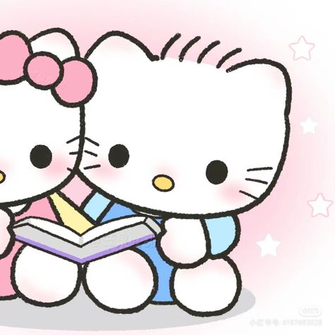 Kuromi And Batzmaru Matching Pfp, Hello Kitty Couple, Couple Cartoon Characters, Hello Kitten, Hello Kitty Colouring Pages, Best Friend Match, Duos Icons, Melody Hello Kitty, Hello Kitty Coloring