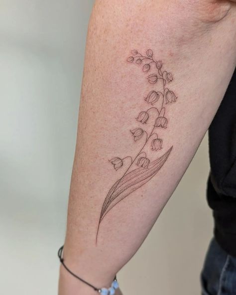 I love it when Chara's name pops up on my enquiry form (which is still open by the way!). 🤗 We hand poked a bespoke Lily of the valley and did a top up on her healed Lenten rose. Thank you for your patience (as always) and the goodies! 😍 Lily Of The Valley Tattoo Sleeve, Lily Of The Valley Drawing Tattoo, Lily Of The Valley Meaning, Lily Of The Valley Drawing, Valley Drawing, Lily Of The Valley Tattoo, Valley Tattoo, Lenten Rose, Tattoo Hand