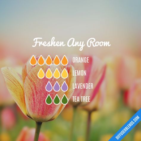 Fresh room #diffuser Fresh Room, Lilin Aroma, Essential Oil Combinations, Doterra Essential Oils Recipes, Essential Oil Diffuser Blends Recipes, Essential Oil Remedy, Essential Oils Guide, Essential Oils Cleaning, Essential Oil Diffuser Recipes