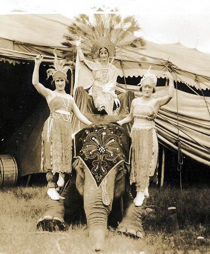 Scan000010446 by bucklesw1, via Flickr Circus Ephemera, Vintage Circus Performers, Christmas Circus, Circus Pictures, Circus Freaks, Old Circus, Showgirl Costume, Circus Sideshow, Circus Acts