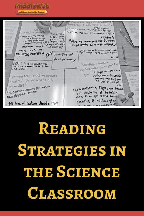 Science Intervention Strategies, Middle School Science Notebook, Science Teaching Strategies, Science Tips, Money Exchange, Science Room, High School Art Lesson Plans, Science Literacy, Biology Classroom