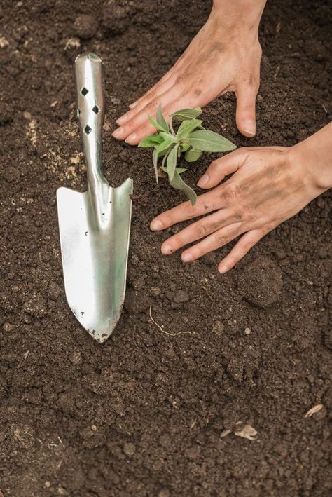 Hands Gardening, Animatic Ideas, Ancient Egypt Map, Hand Cultivator, Garden Spade, Egypt Map, Gardening Photography, Swiss Family Robinson, Urban Gardens