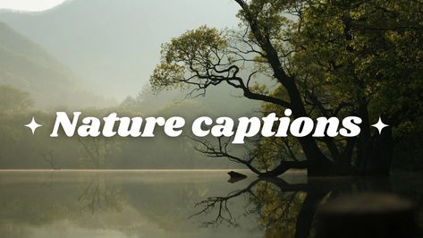 Nature captions, instagram captions, captions for instagram, nature quotes, short nature captions Jungle Captions For Instagram, Short Nature Captions For Instagram, Nature Captions For Instagram, Captions Aesthetic, Nature Captions, Short Instagram Captions, Aesthetic Captions, Aesthetic Nature, Captions For Instagram