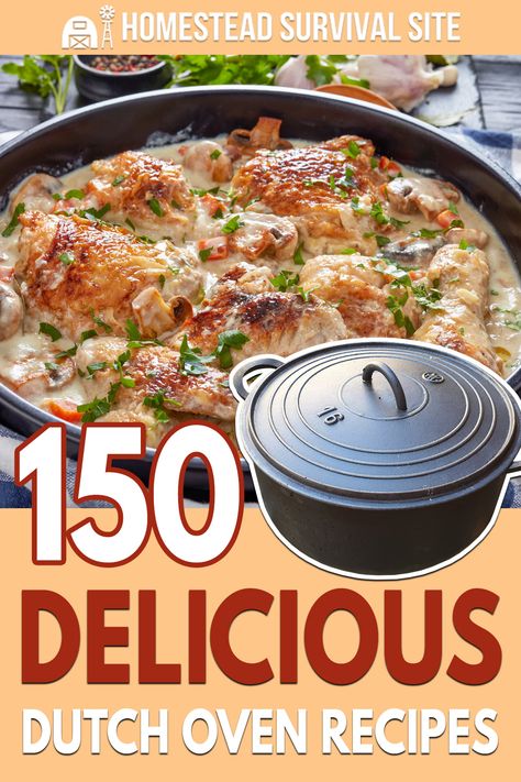 Dutch Oven Cooking Camping, Homesteading Dinner Recipes, Gf Dutch Oven Recipes, Camping Food Dutch Oven, Dutch Oven Cooking Over Campfire, Recipes For Lodge Dutch Oven, What To Cook In A Dutch Oven Easy Recipes, Dutchoven Campfire Recipes, Campfire Dutch Oven Chicken Recipes