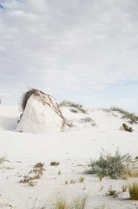 it’s 10 benny: salt flat, texas to white sands national monument | CAKIES Gypsum Crystal, Salt Flat, White Sands National Monument, White Branches, Butterflies In My Stomach, Van Horn, Salt Flats, The Dunes, National Monuments