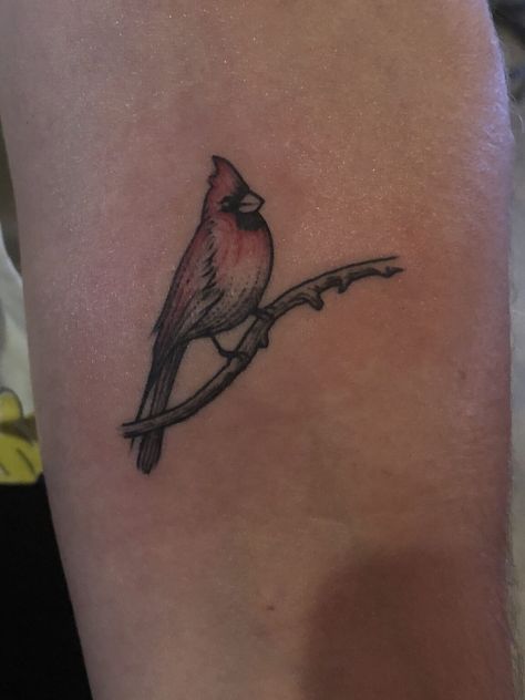 180+ Best Cardinal Tattoos Designs With Meanings (2022) - TattoosBoyGirl Small Cardinal Tattoos For Women, Small Cardinal Tattoo Memorial, Bird Outline Tattoo, Cardinal Bird Tattoos, Red Cardinal Tattoos, Small Cardinal Tattoo, Sister Tats, Wrist Tatoo, Tattoo 2022