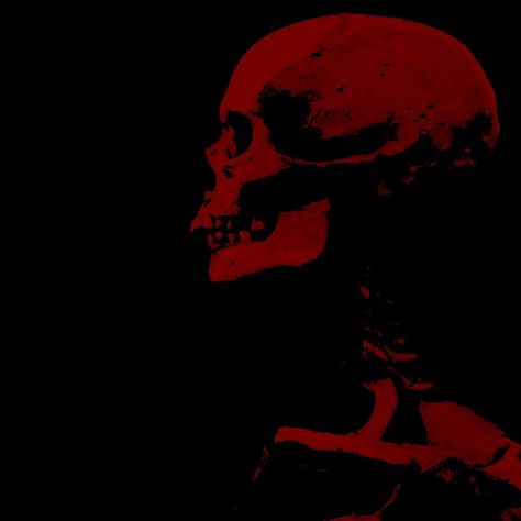 Red + Core + Aesthetic, February Wallpaper, Blood Wallpaper, Skull Icon, Red Goth, Y2k Photos, Dark Red Wallpaper, Witchy Wallpaper, Dark Grunge