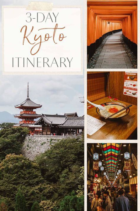 The Ultimate 3-Day Kyoto Itinerary • The Blonde Abroad Kyoto Itinerary 3 Days, Japan Honeymoon, Blonde Abroad, Ski Destinations, Kyoto Itinerary, Japan Travel Destinations, Japan Holidays, Tokyo Japan Travel, Japanese Travel