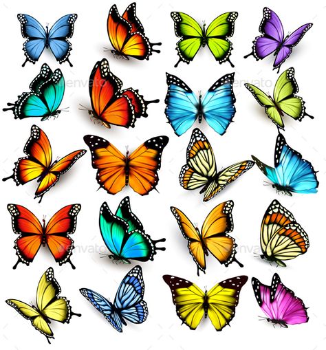 Collection of Colorful Butterflies #Collection, #Colorful, #Butterflies Butterfly Drawing With Color, Butterfly Tattoo Colorful, Colored Butterfly Tattoo, Butterfly Tattoo Color, Coloring Butterflies, Borboleta Tattoo, Butterfly Colorful, Butterfly Art Drawing, Colored Butterfly