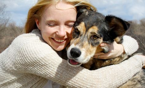 teach your dog to pray Large German Shepherd, Dog Body Language, Talking Dog, Game Mode, Cairn Terrier, Bichon Frise, Jack Russell Terrier, Shelter Dogs, Cavalier King Charles Spaniel