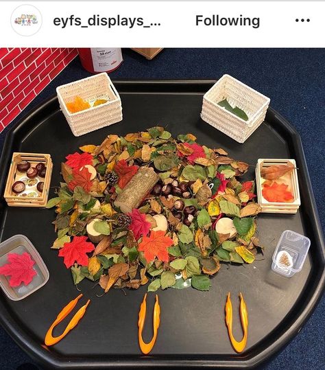 Autumn Sensory Tray, Acorn Preschool Activities, Autumn Toddler Activities, Autumn Tuff Tray Ideas, Autumn Kindergarten Activities, Autumn Tuff Tray, Fall Provocations, Autumn Eyfs Activities, Autumn Eyfs