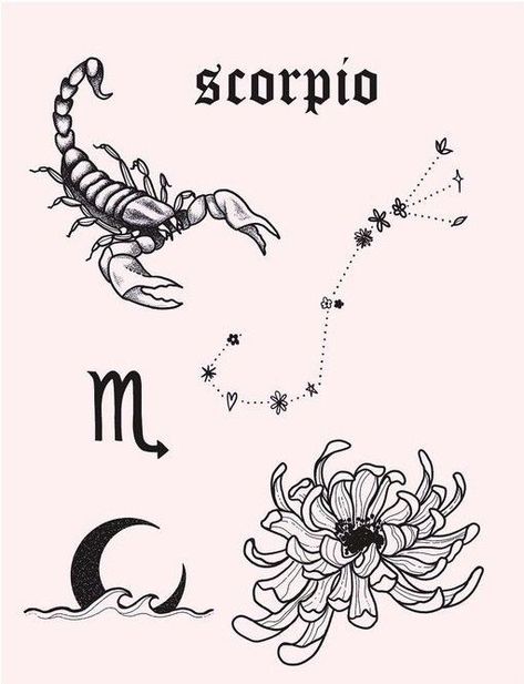 Scorpion Zodiac Tattoos For Women, Scorpion Scorpio Tattoo, Scorpio Flash Tattoo, Scorpio Tattoo Zodiac Feminine, Scorpio Butterfly Tattoo, Scorpio Tattoo On Back, Scorpio Spine Tattoo, Scorpio Flower Tattoo, Scorpio Tattoos For Women