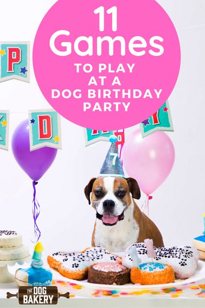 Dog Birthday Games For Dogs, Pet Dog Birthday Party Ideas, Dog Birthday Party Games For Dogs, Dog Party Activities For Dogs, Dog Birthday Games, Dog Birthday Party Activities, Dog Party Games For Dogs, Dog Party Activities, Dog Birthday Activities