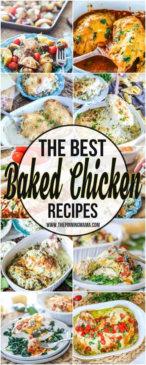 The BIG List of Baked Chicken Recipes • The Pinning Mama The Best Baked Chicken, The Pinning Mama, Best Baked Chicken, Cookies Best, Chicken Recipes For Dinner, Mushroom Burger, Cooking Challenge, Recipes For Dinner, Recipe Chicken