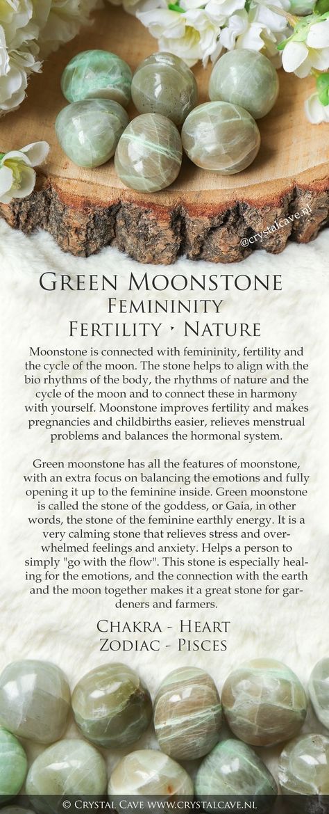 Moonstone Birthstone, Tattoos Architecture, Moonstone Properties, Crystal Identification, Animals Tattoos, Green Moonstone, Travel Humor Quotes, Crystal Healing Chart, Mineral Green