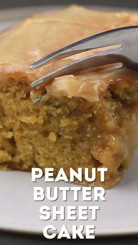 Sugar Spun Run Peanut Butter Sheet Cake, Peanut Butter Carrot Cake, Ooey Gooey Peanut Butter Cake, Southern Peanut Butter Cake, Desserts With Icing, Cake Not Sweet, Peanut Butter Bundt Cake Recipes, What Can I Make With Peanut Butter, Delicious Cakes Homemade