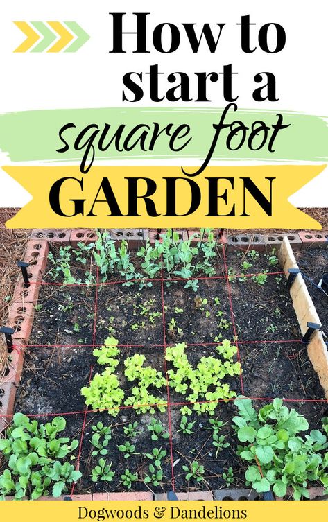 If you don't have a lot of gardening space, starting a square foot garden might be the perfect solution. With proper planning, you can grow a lot of food in a small space using the square foot gardening method. Square foot gardening is perfect for beginning gardeners but it is also a great gardening method for kids or older adults. Learn how easy it is to start a square foot vegetable garden in your own backyard. Garden Small Space, Square Foot Gardening Plans, Plant Parenthood, Square Foot Garden, Raised Gardens, Edible Landscape, Gardening Backyard, Kids Gardening, A Lot Of Food