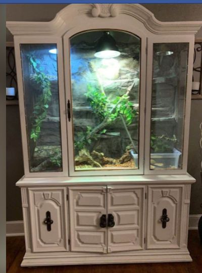 Terrarium Furniture Ideas, Aesthetic Terrarium Reptile, China Cabinet Reptile Enclosure, Diy Curio Cabinet Terrarium, China Cabinet Terrarium, Homemade Reptile Enclosure, Custom Snake Enclosures, Cute Snake Enclosure Ideas, Corn Snake Cage Ideas