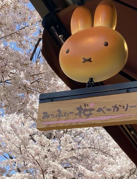 Aesthetic Cherry Blossom, Miffy Aesthetic, Aesthetic Cafe, Japan Aesthetic, Aesthetic Japan, Japanese Aesthetic, Cute Food, Japan Travel, Pretty Pictures