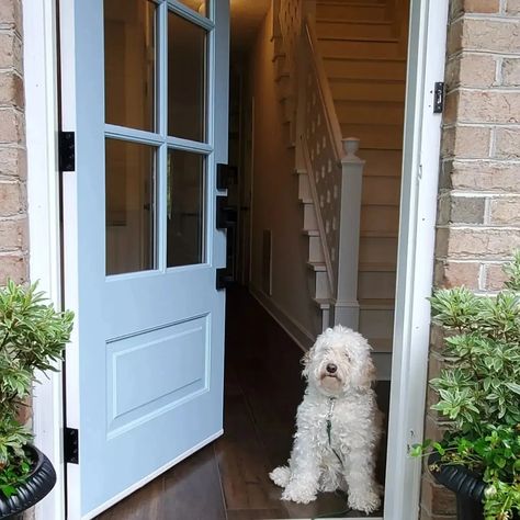 Benjamin Moore Greenhow Blue front door Blue Paint Color, Blue Front Door, Blue Bay, Blue Paint Colors, Benjamin Moore Colors, Paint Shades, Colorful Furniture, Complementary Colors, Coordinating Colors