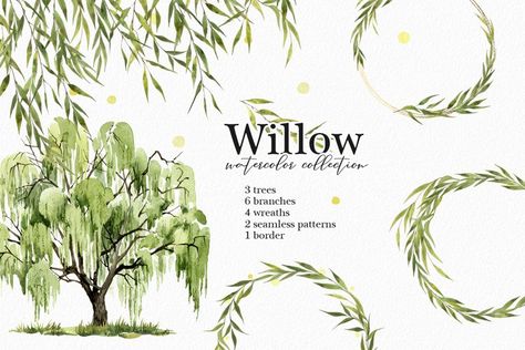 Willow Tree Watercolor, Willow Wallpaper, Png Border, Landscape Clipart, Garden Clipart, Wedding Clip Art, Png Elements, Tree Watercolor, Willow Leaf