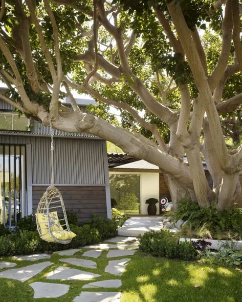 Backyard Trees Landscaping, Landscaping Around Trees, Patio Trees, Backyard Trees, Hanging Furniture, Large Tree, Magnolia Trees, Backyard For Kids, Back Gardens