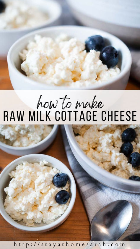 Learn how easy it is to make raw milk cottage cheese! If you are new to making your own dairy products, this recipe is for you. This nutrient dense snack only requires simple ingredients and a few easy steps. Easy Cheese Making Recipes, Goat Milk Cottage Cheese, How To Make Your Own Cottage Cheese, Diy Cottage Cheese, Making Cottage Cheese At Home, Make Your Own Cottage Cheese, How To Make Cottage Cheese, A2 Milk, Lactose Free Cottage Cheese