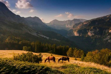 Sutjeska National park, Bosnia Herzegovina, Natural Wonders, Nature Pictures, Bosnia And Herzegovina, Geography, Travel Guide, National Park, Natural Beauty, National Parks